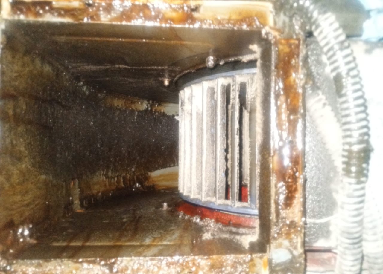 WhatsApp Image 2025-02-19 at 7.27.28 PM